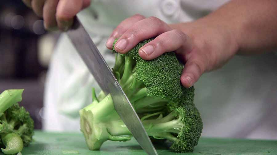 A culinary student chopping broccoli.
