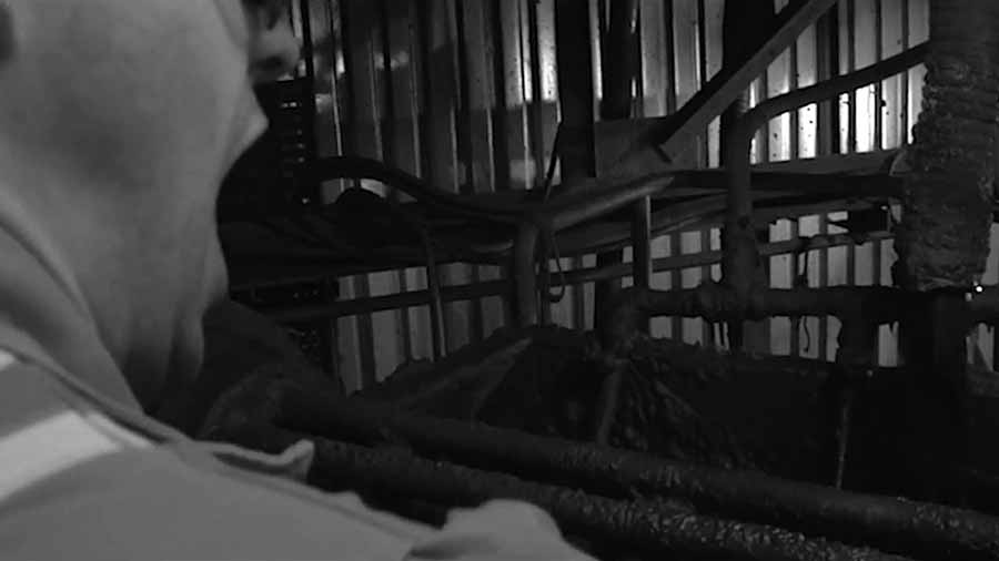 A man screaming during a work accident.